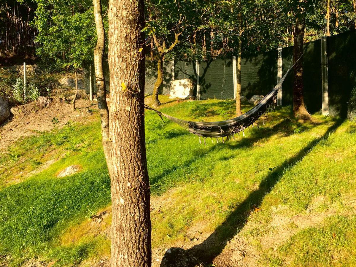 The Green Roof House Vieira do Minho Eksteriør bilde